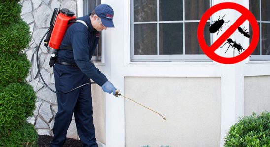 Düzce Dezenfeksiyon böcek ilaçlama ve haşere kontrolü — ilaclama-tr.com